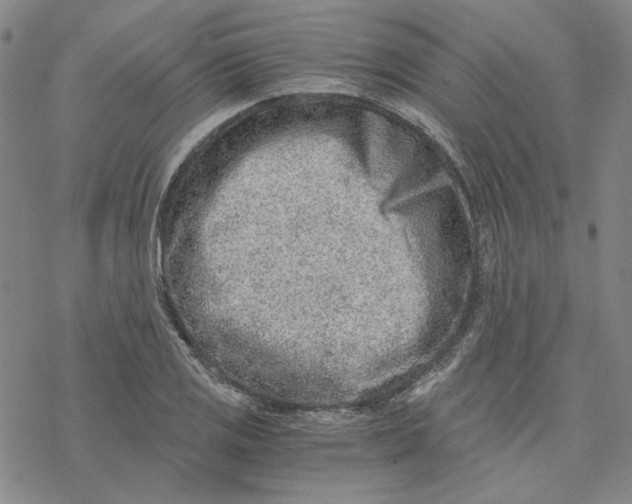 X0000076391125200610271546