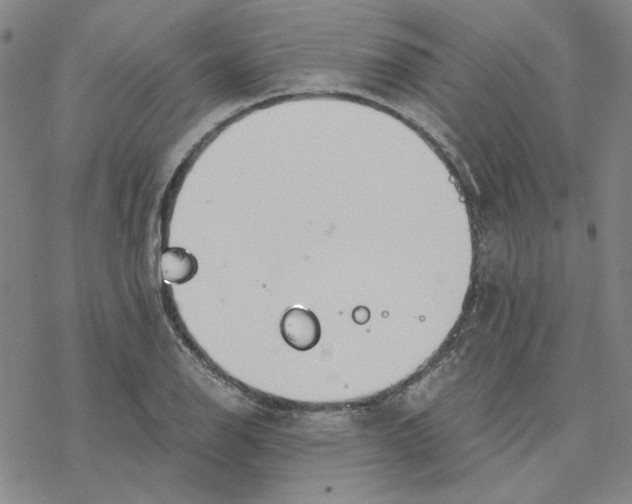 X0000076391126200610271546