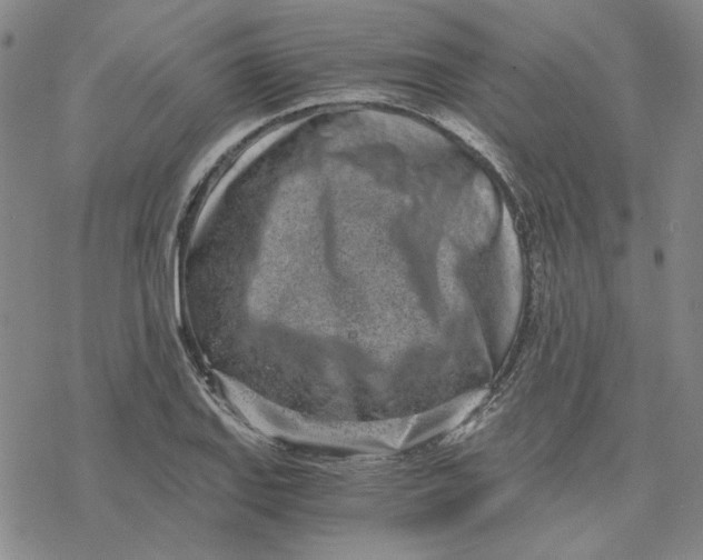 X0000076391127200610271546