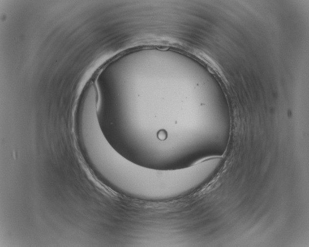 X0000076391128200610271546