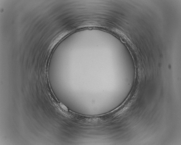 X0000076391129200610271546