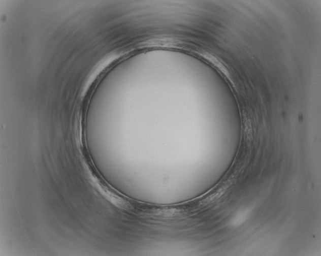 X0000076391131200610271546