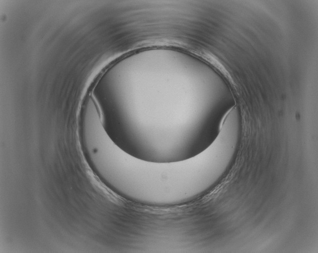 X0000076391132200610271546