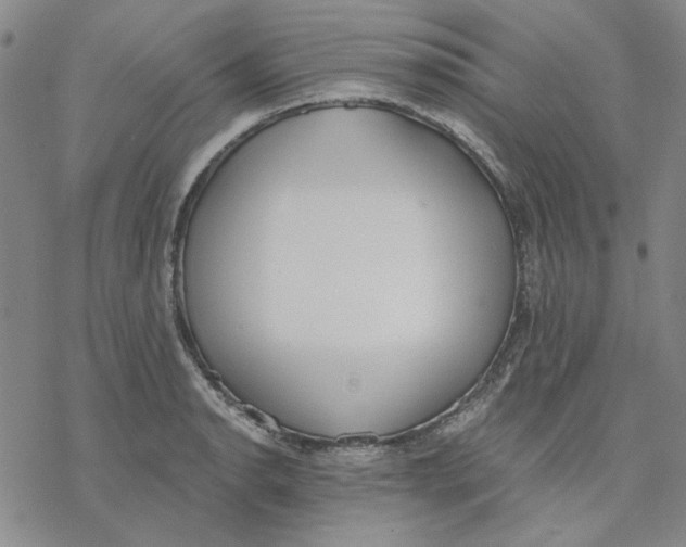 X0000076391134200610271546