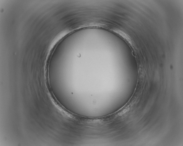 X0000076391135200610271546