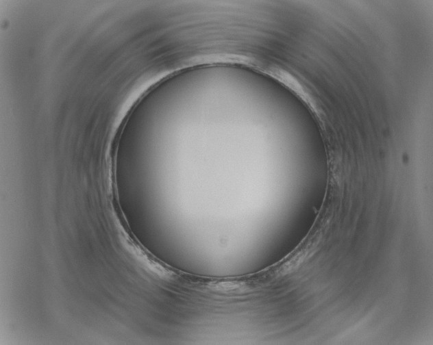 X0000076391140200610271546