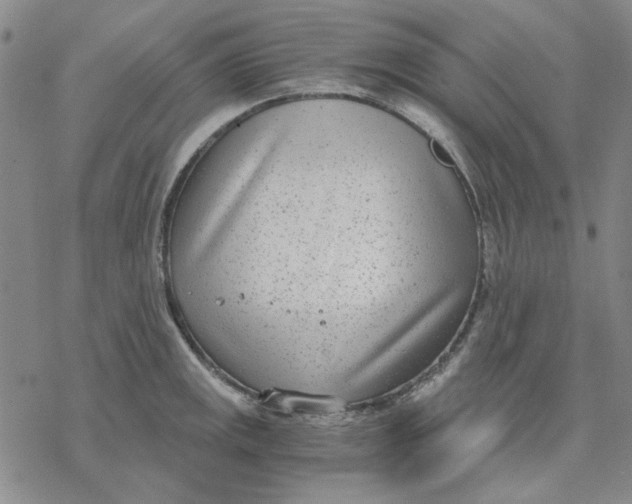 X0000076391141200610271546