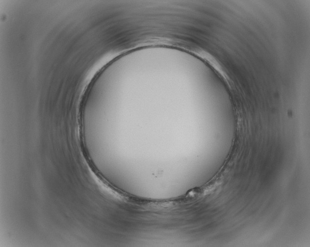 X0000076391143200610271546