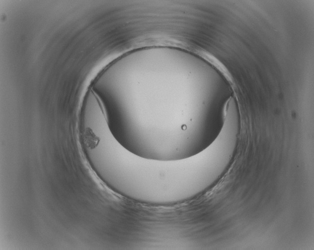 X0000076391144200610271546