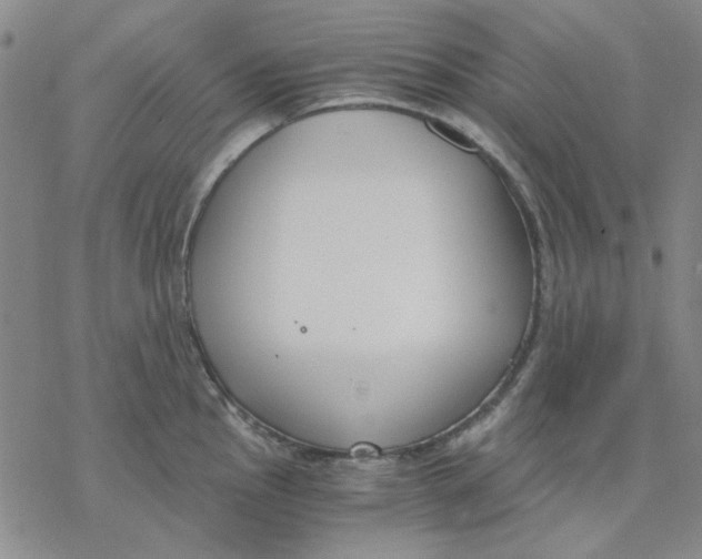 X0000076391145200610271546