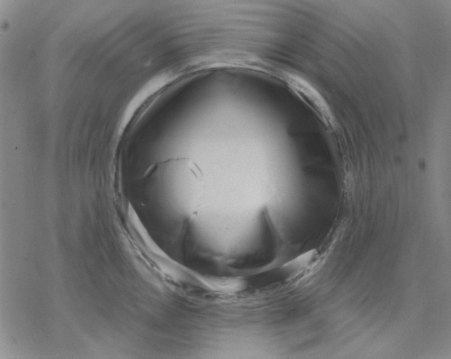 X0000076391146200610271546