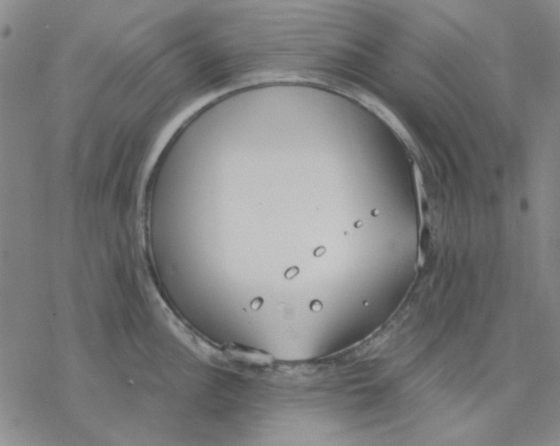 X0000076391148200610271546