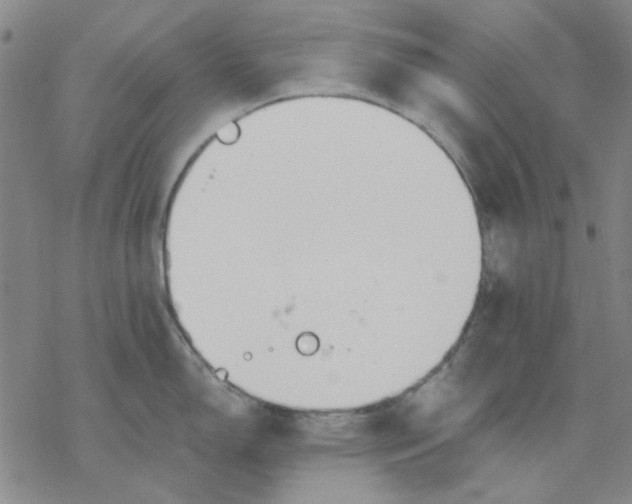 X0000076391150200610271546