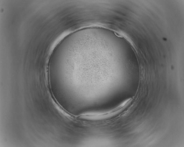 X0000076391151200610271546