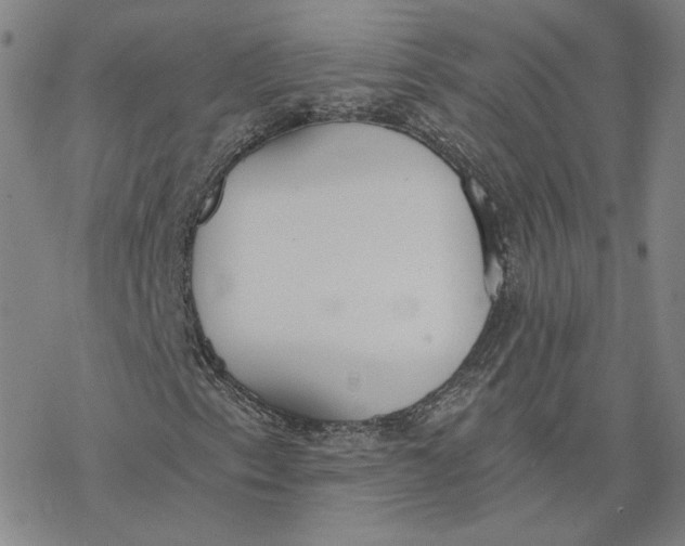 X0000076391153200610271546