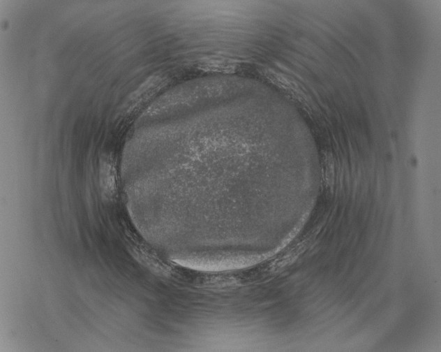 X0000076391154200610271546