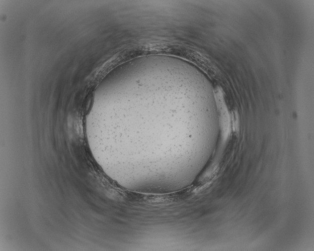 X0000076391155200610271546