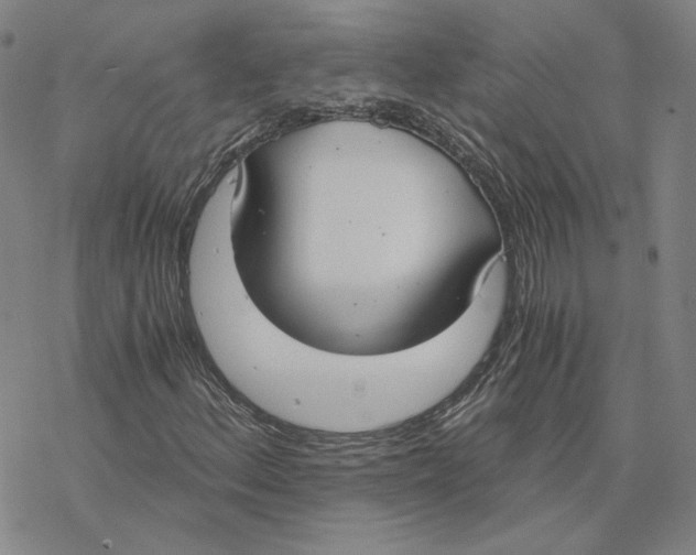 X0000076391156200610271546