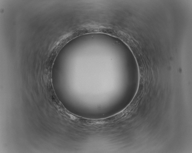 X0000076391157200610271546