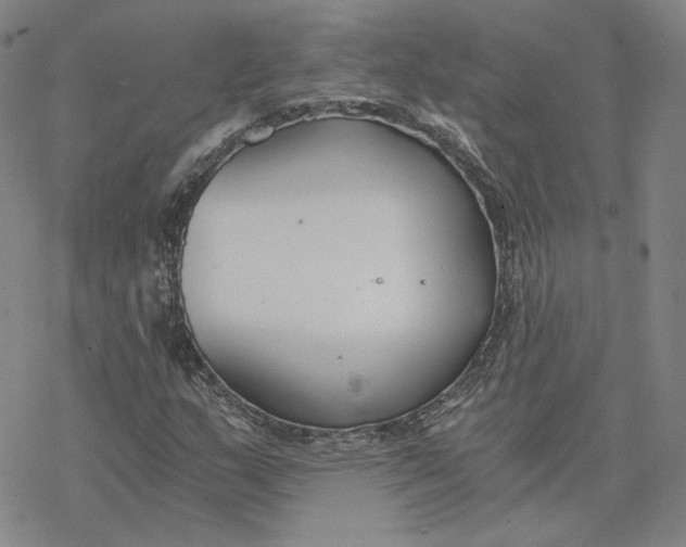 X0000076391159200610271546