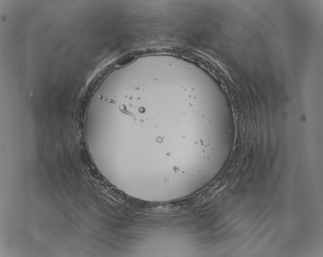 X0000076391160200610271546