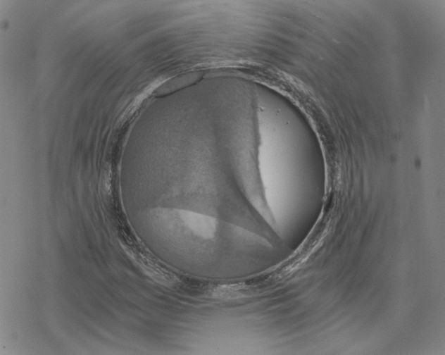 X0000076391161200610271546