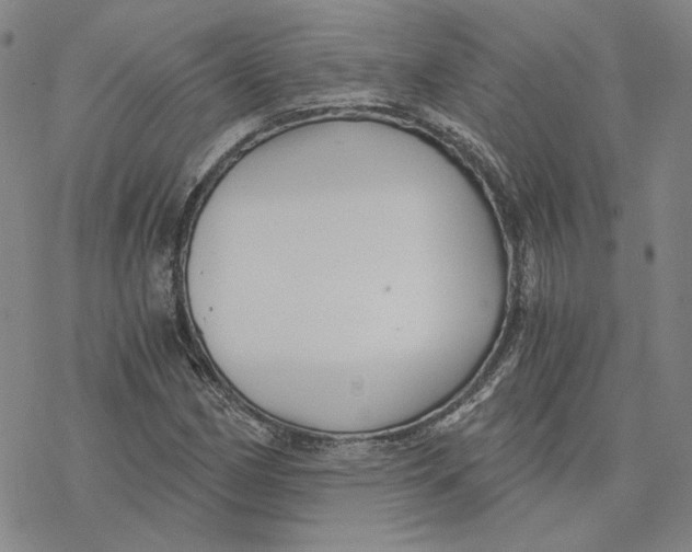 X0000076391162200610271546