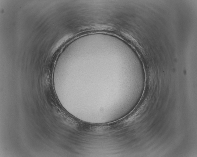 X0000076391163200610271546