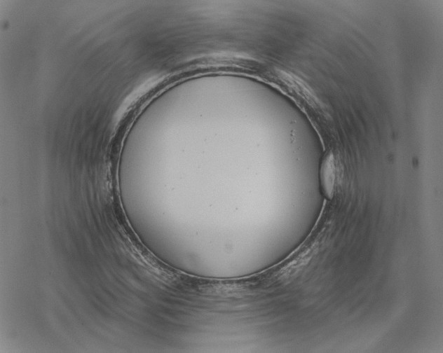 X0000076391164200610271546