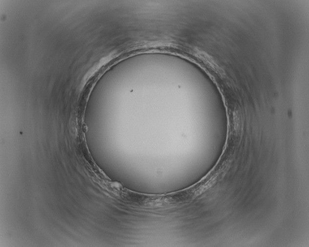 X0000076391165200610271546