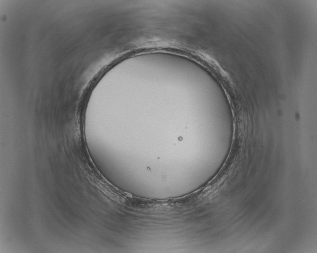 X0000076391167200610271545