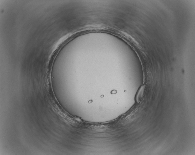 X0000076391168200610271545