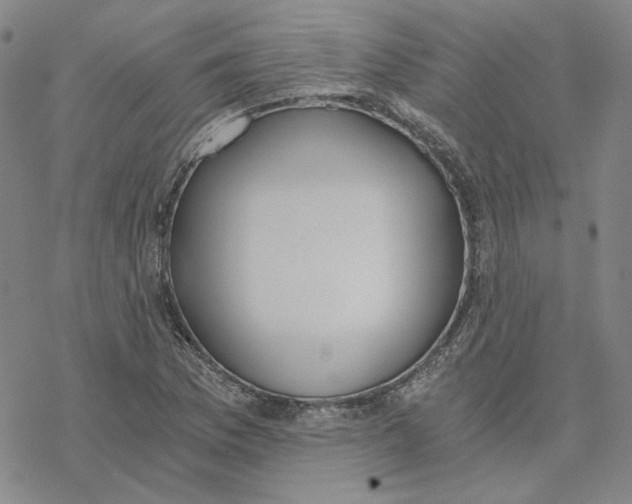 X0000076391169200610271545