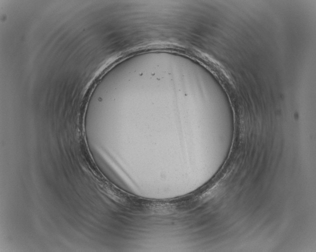 X0000076391170200610271545