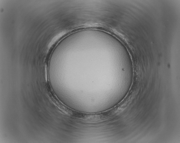 X0000076391171200610271545