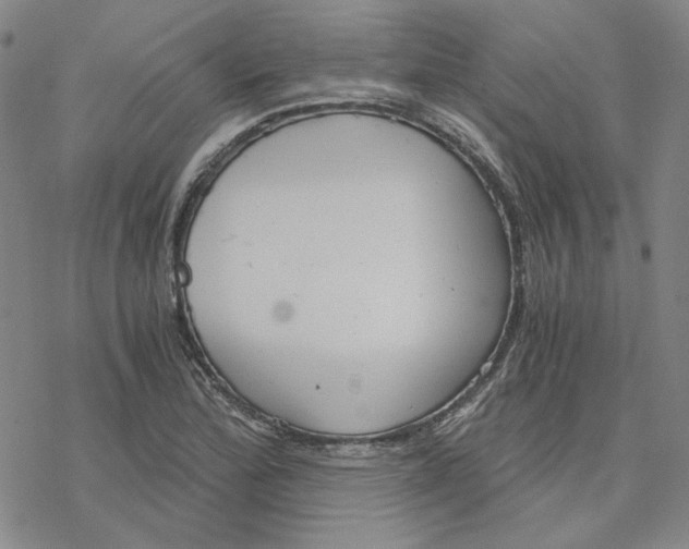 X0000076391172200610271545