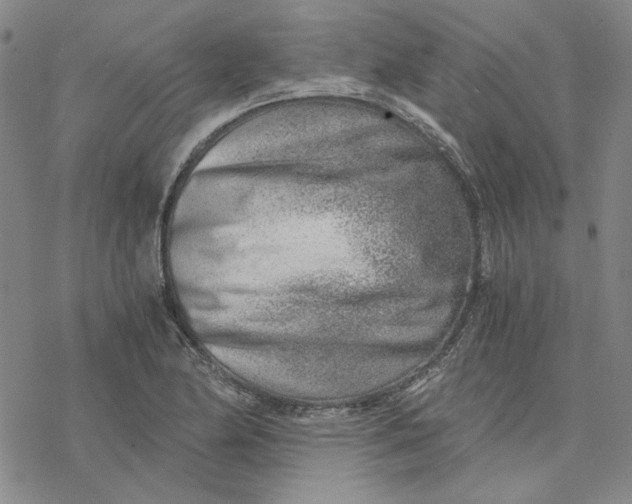 X0000076391174200610271545