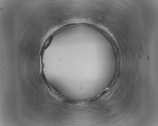 X0000076391175200610271545