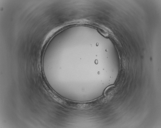 X0000076391176200610271545