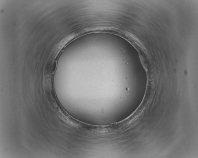 X0000076391177200610271545