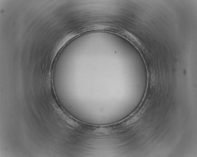 X0000076391178200610271545