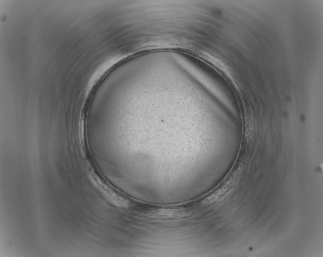 X0000076391179200610271545