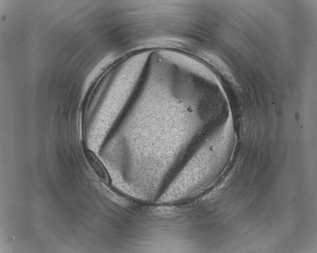 X0000076391180200610271545