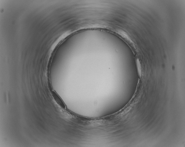 X0000076391181200610271545