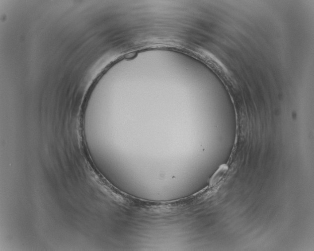 X0000076391182200610271545