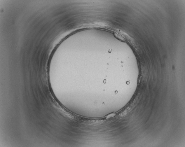 X0000076391184200610271545