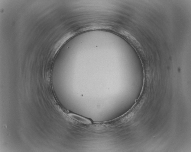 X0000076391185200610271545