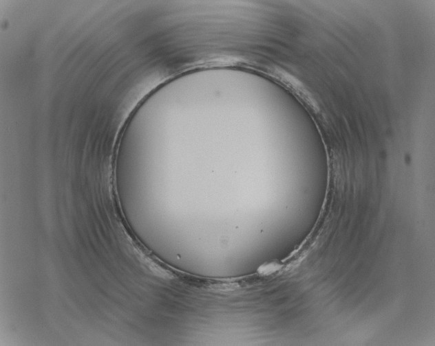 X0000076391186200610271545