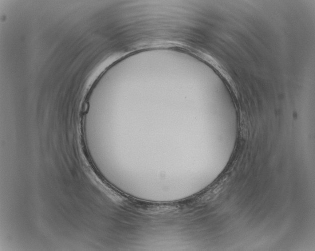 X0000076391187200610271545