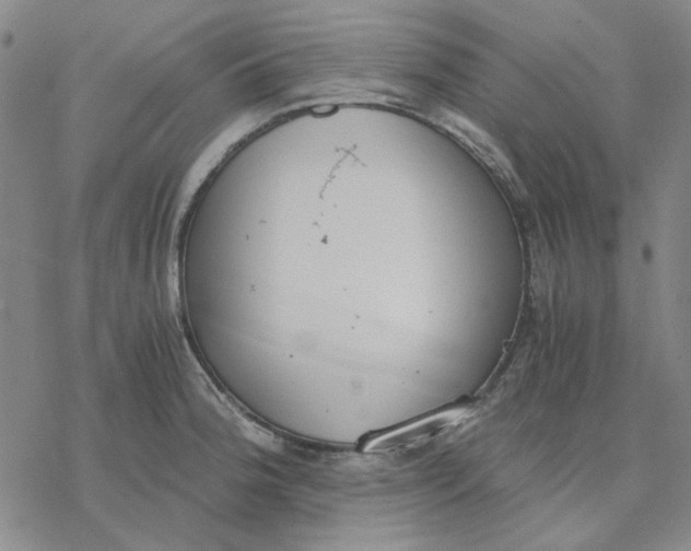 X0000076391188200610271545